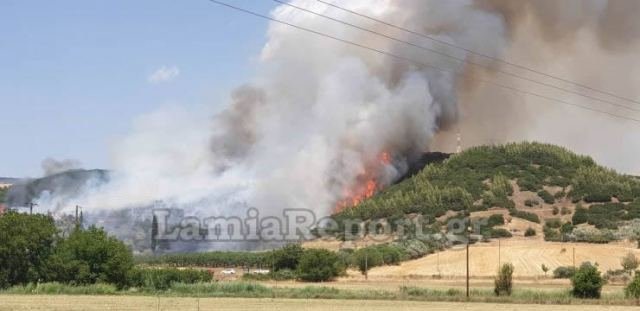 Φωτιά τώρα: Πυρκαγιά σε δασική έκταση στη Φθιώτιδα (pic ...