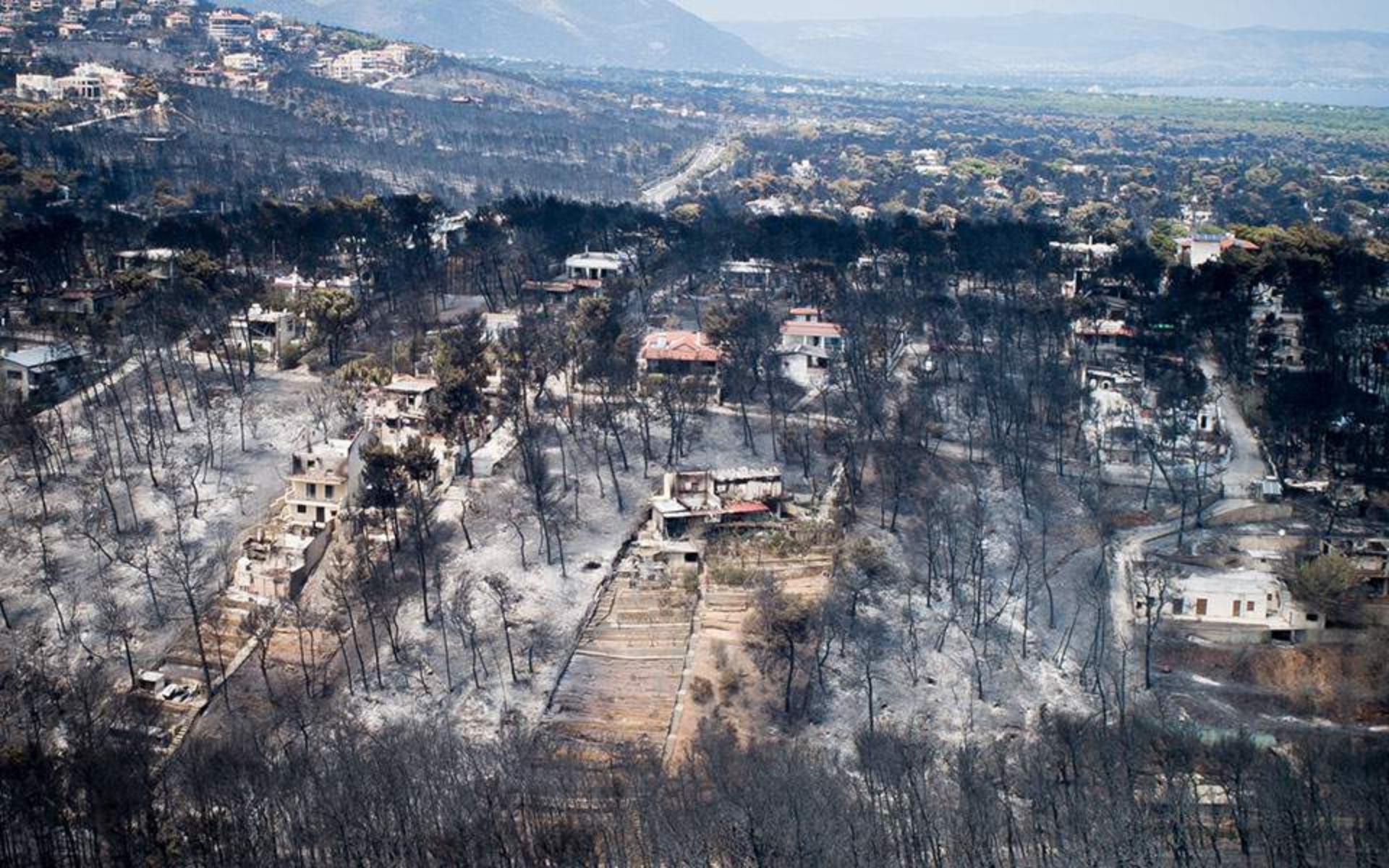 Πατούλης Μάτι