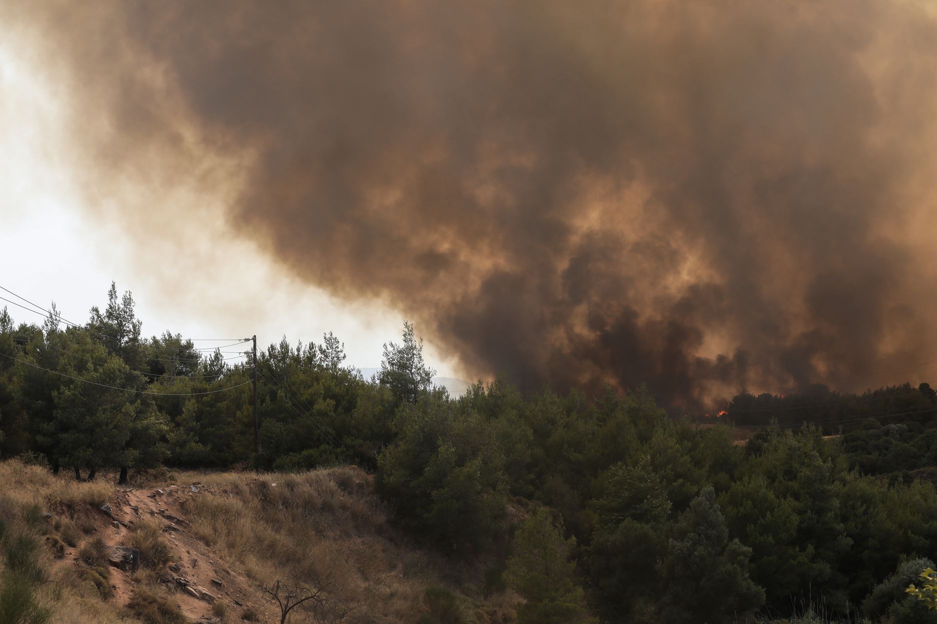 Βαρυμπόμπη