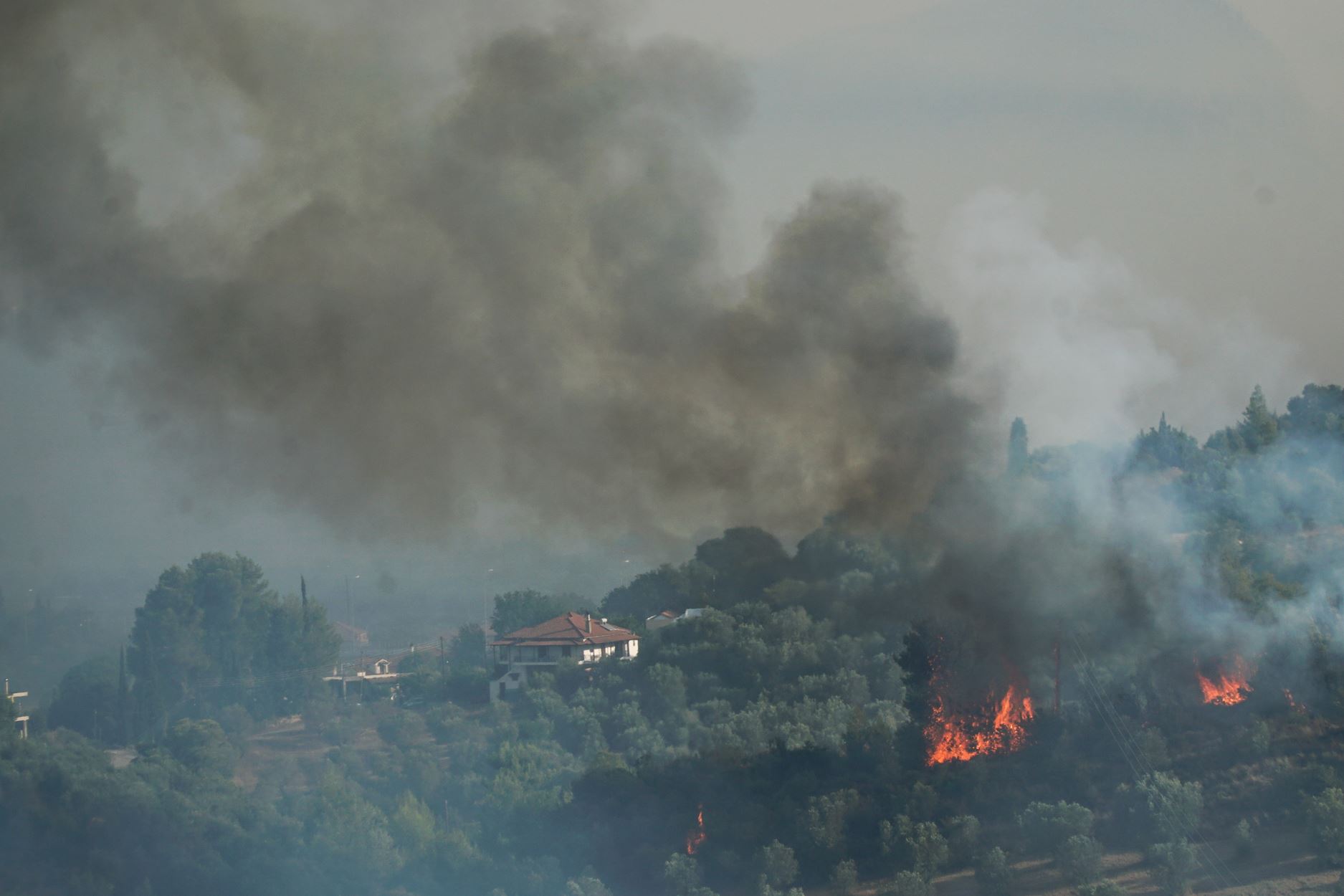 Φωτιά στην Αρχαία Ολυμπία