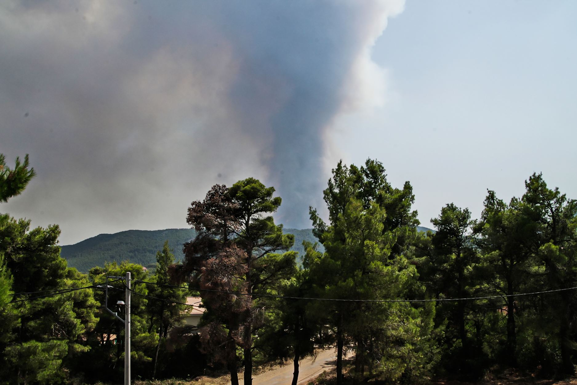 Φωτιά στη Βαρυμπόμπη