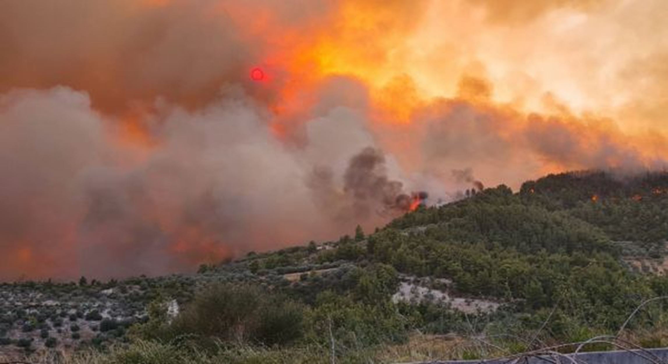 Φωτιά στην Εύβοια