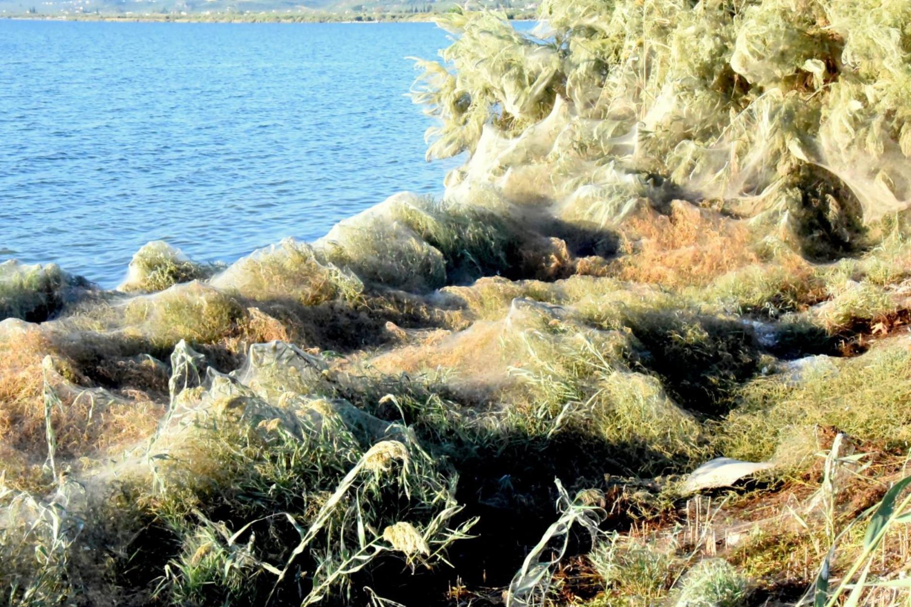 Αιτωλικό